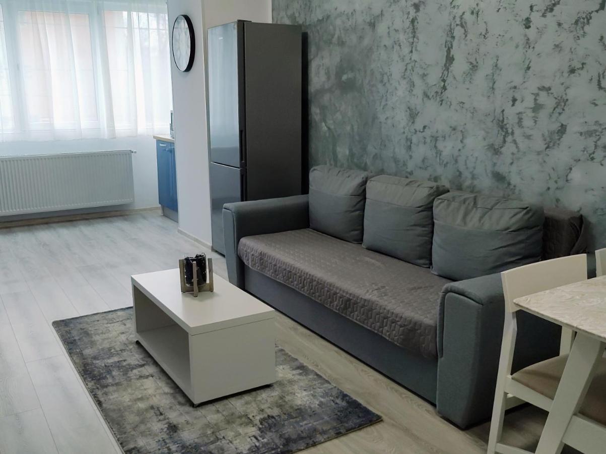 Simona Apartament Iulius Mall ヤシ エクステリア 写真
