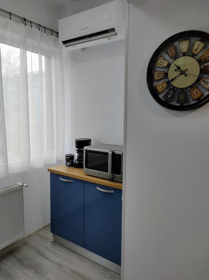 Simona Apartament Iulius Mall ヤシ エクステリア 写真