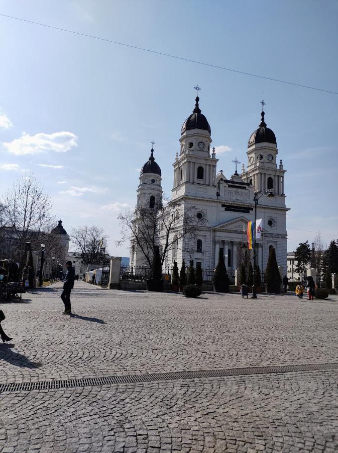 Simona Apartament Iulius Mall ヤシ エクステリア 写真